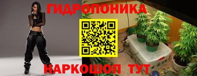 индика Заводоуковск