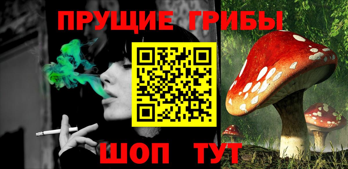 Малоярославец  Псилоцибиновые грибы мицелий  Вход с VPN 